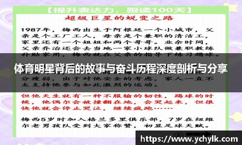 体育明星背后的故事与奋斗历程深度剖析与分享
