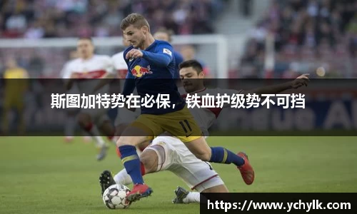 evo视讯